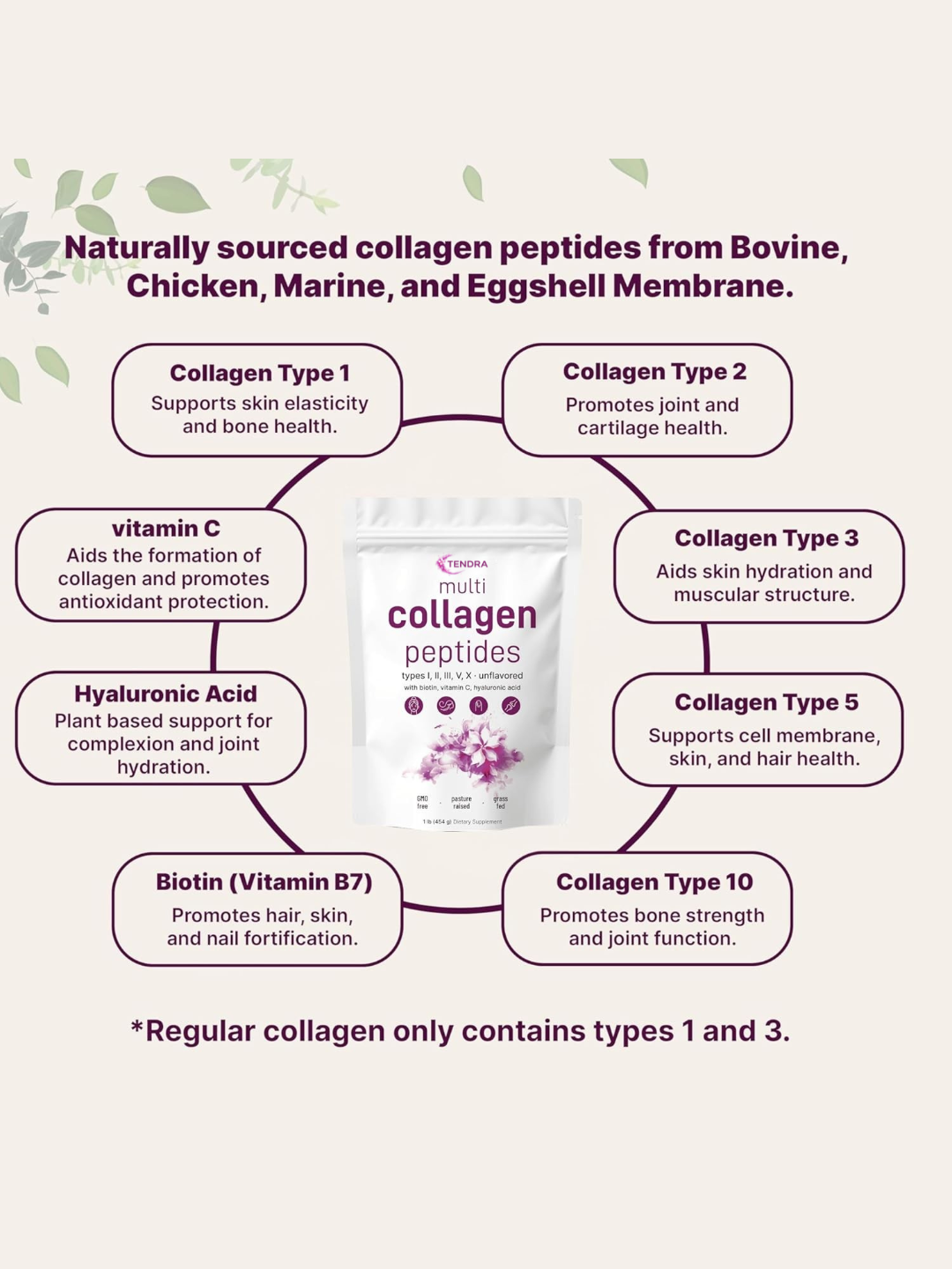 TENDRA Multi Collagen Peptides